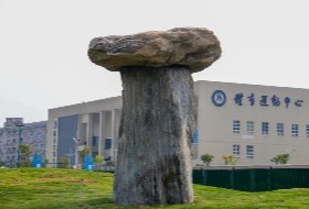 栏目用于追新