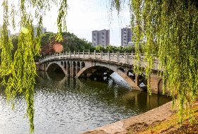 若需了解「ky体育appky体育ap